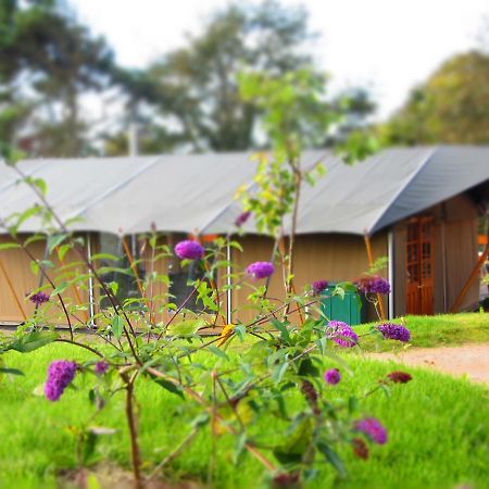 Готель Durrell Wildlife Camp Trinity Екстер'єр фото